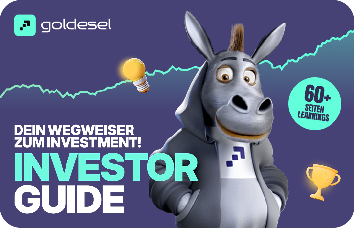 Investor Guide